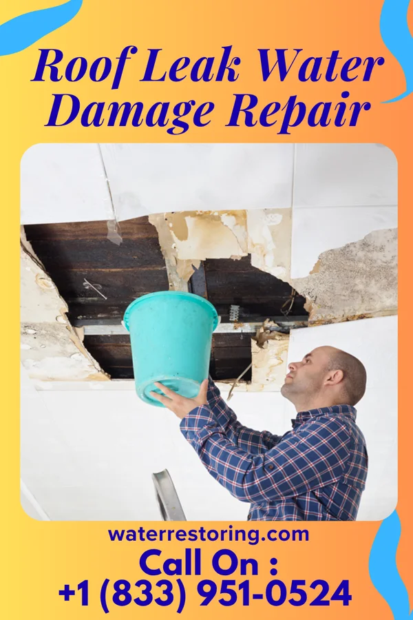 Roof Leak Water Damage Repair in Sedan, KS