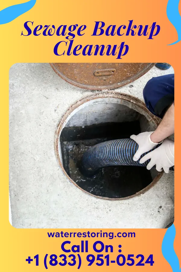 Sewage Backup Cleanup in Sedan, KS